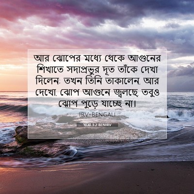 Picture 07 - যাত্ৰা 3:2 BENIRV - আর ঝোপের মধ্যে - Bible Verse Picture