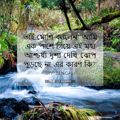 Picture 07 - যাত্ৰা 3:3 BENIRV - তাই মোশি বললেন, - Bible Verse Picture