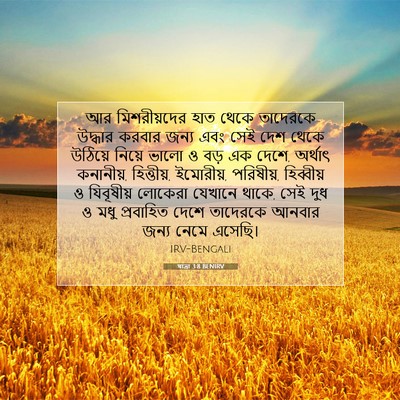 Picture 07 - যাত্ৰা 3:8 BENIRV - আর মিশরীয়দের হাত - Bible Verse Picture