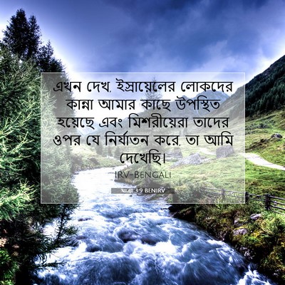 Picture 07 - যাত্ৰা 3:9 BENIRV - এখন দেখ, - Bible Verse Picture