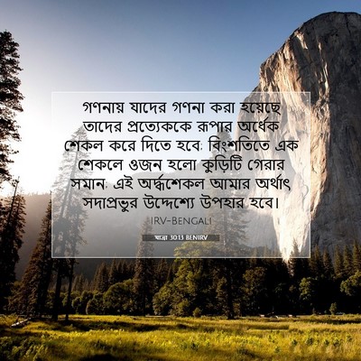 Picture 07 - যাত্ৰা 30:13 BENIRV - গণনায় যাদের গণনা - Bible Verse Picture