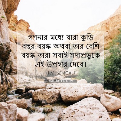Picture 07 - যাত্ৰা 30:14 BENIRV - গণনার মধ্যে যারা - Bible Verse Picture