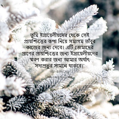 Picture 07 - যাত্ৰা 30:16 BENIRV - তুমি - Bible Verse Picture