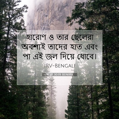 Picture 07 - যাত্ৰা 30:19 BENIRV - হারোণ ও তার ছেলেরা - Bible Verse Picture
