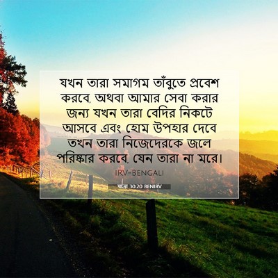 Picture 07 - যাত্ৰা 30:20 BENIRV - যখন তারা সমাগম - Bible Verse Picture