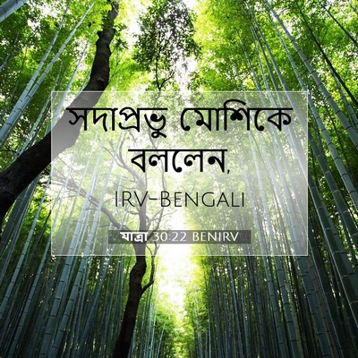 Picture 07 - যাত্ৰা 30:22 BENIRV - সদাপ্রভু মোশিকে - Bible Verse Picture