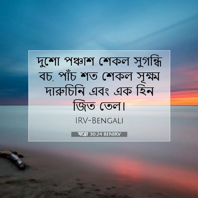 Picture 07 - যাত্ৰা 30:24 BENIRV - দুশো পঞ্চাশ শেকল - Bible Verse Picture
