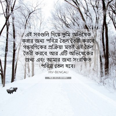 Picture 07 - যাত্ৰা 30:25 BENIRV - এই সবগুলি দিয়ে - Bible Verse Picture