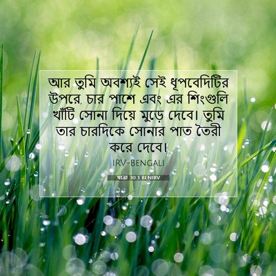 Picture 07 - যাত্ৰা 30:3 BENIRV - আর তুমি অবশ্যই সেই - Bible Verse Picture