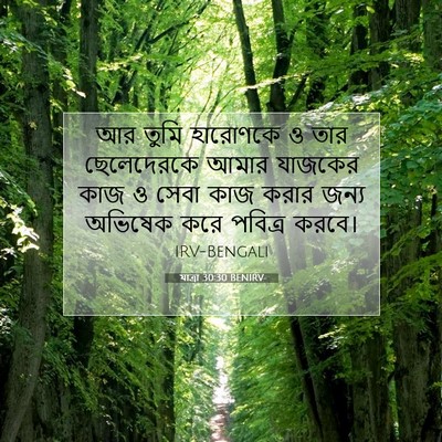 Picture 07 - যাত্ৰা 30:30 BENIRV - আর তুমি হারোণকে ও - Bible Verse Picture