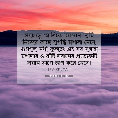 Picture 07 - যাত্ৰা 30:34 BENIRV - সদাপ্রভু মোশিকে - Bible Verse Picture