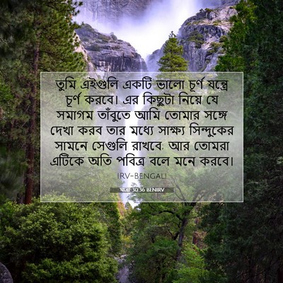 Picture 07 - যাত্ৰা 30:36 BENIRV - তুমি এইগুলি একটি - Bible Verse Picture