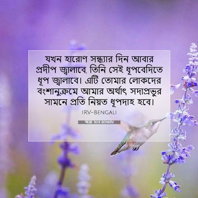 Picture 07 - যাত্ৰা 30:8 BENIRV - যখন হারোণ - Bible Verse Picture