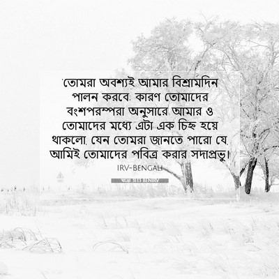 Picture 07 - যাত্ৰা 31:13 BENIRV - ‘তোমরা অবশ্যই - Bible Verse Picture