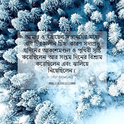 Picture 07 - যাত্ৰা 31:17 BENIRV - আমার ও ইস্রায়েল - Bible Verse Picture
