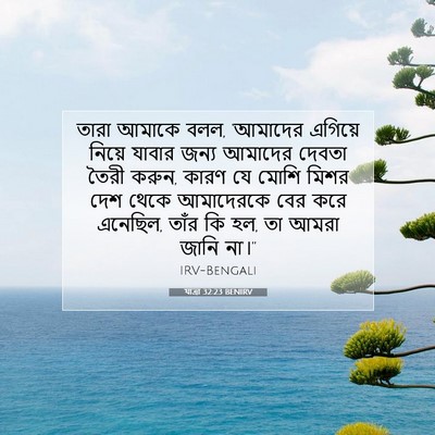 Picture 07 - যাত্ৰা 32:23 BENIRV - তারা আমাকে বলল, - Bible Verse Picture