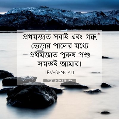 Picture 07 - যাত্ৰা 34:19 BENIRV - প্রথমজাত সবাই এবং - Bible Verse Picture