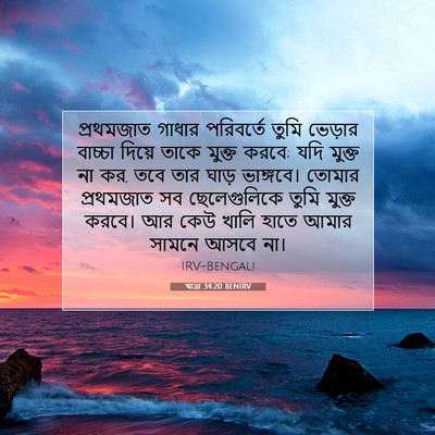 Picture 07 - যাত্ৰা 34:20 BENIRV - প্রথমজাত গাধার - Bible Verse Picture