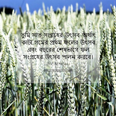 Picture 07 - যাত্ৰা 34:22 BENIRV - তুমি সাত সপ্তাহের - Bible Verse Picture