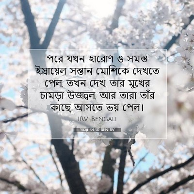 Picture 07 - যাত্ৰা 34:30 BENIRV - পরে যখন হারোণ ও - Bible Verse Picture