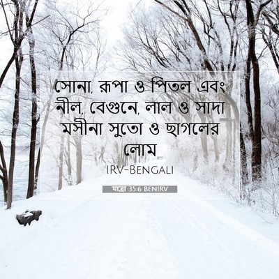 Picture 07 - যাত্ৰা 35:6 BENIRV - সোনা, রূপা ও পিতল - Bible Verse Picture