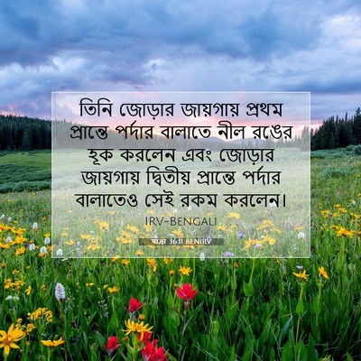 Picture 07 - যাত্ৰা 36:11 BENIRV - তিনি জোড়ার - Bible Verse Picture