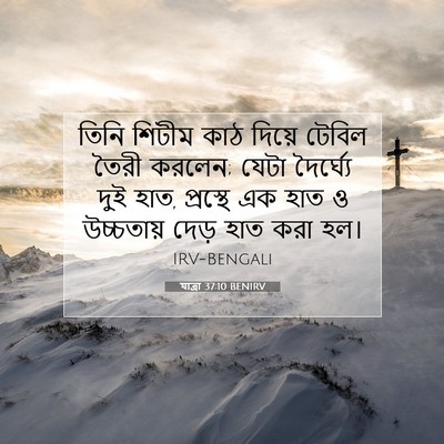 Picture 07 - যাত্ৰা 37:10 BENIRV - তিনি শিটীম কাঠ - Bible Verse Picture