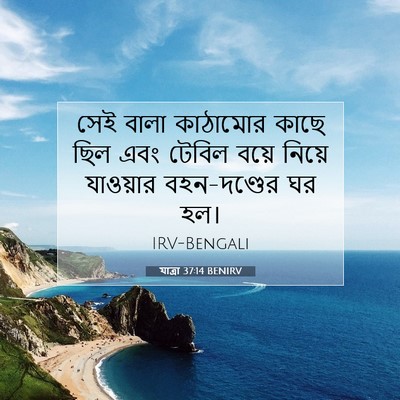 Picture 07 - যাত্ৰা 37:14 BENIRV - সেই বালা কাঠামোর - Bible Verse Picture