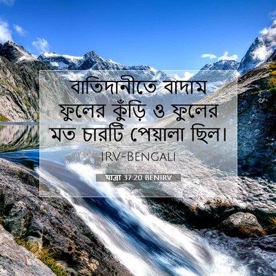 Picture 07 - যাত্ৰা 37:20 BENIRV - বাতিদানীতে বাদাম - Bible Verse Picture