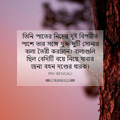 Picture 07 - যাত্ৰা 37:27 BENIRV - তিনি পাতের নিচের - Bible Verse Picture