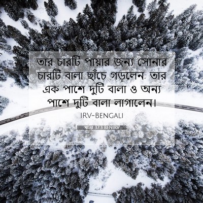 Picture 07 - যাত্ৰা 37:3 BENIRV - তার চারটি পায়ার - Bible Verse Picture