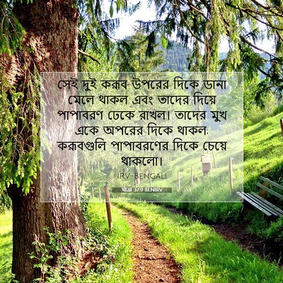 Picture 07 - যাত্ৰা 37:9 BENIRV - সেই দুই করূব উপরের - Bible Verse Picture