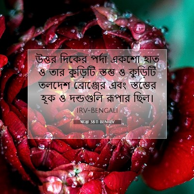 Picture 07 - যাত্ৰা 38:11 BENIRV - উত্তর দিকের পর্দা - Bible Verse Picture