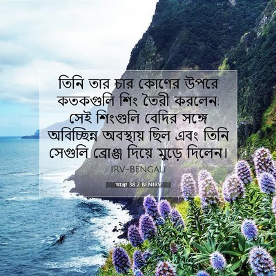 Picture 07 - যাত্ৰা 38:2 BENIRV - তিনি তার চার কোণের - Bible Verse Picture