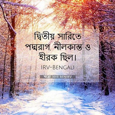 Picture 07 - যাত্ৰা 39:11 BENIRV - দ্বিতীয় সারিতে - Bible Verse Picture