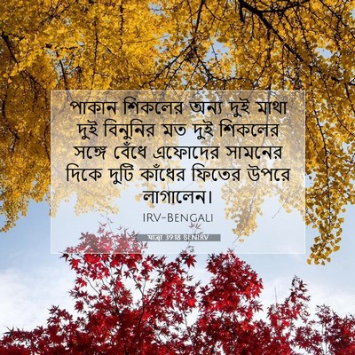 Picture 07 - যাত্ৰা 39:18 BENIRV - পাকান শিকলের অন্য - Bible Verse Picture