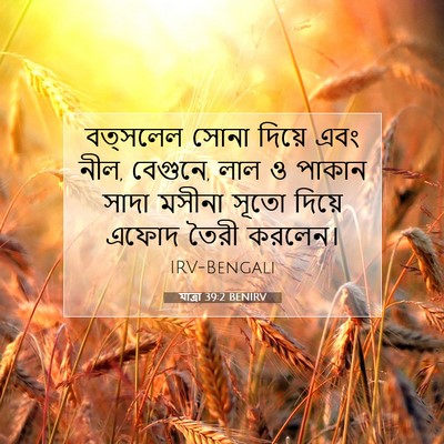 Picture 07 - যাত্ৰা 39:2 BENIRV - বত্সলেল সোনা - Bible Verse Picture