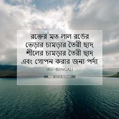 Picture 07 - যাত্ৰা 39:34 BENIRV - রক্তের মত লাল রঙের - Bible Verse Picture
