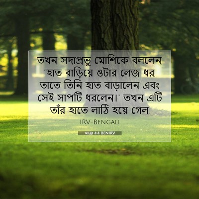 Picture 07 - যাত্ৰা 4:4 BENIRV - তখন সদাপ্রভু - Bible Verse Picture