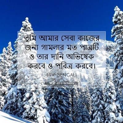 Picture 07 - যাত্ৰা 40:11 BENIRV - তুমি আমার সেবা - Bible Verse Picture