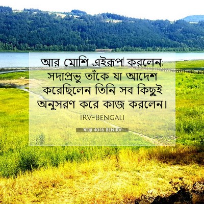 Picture 07 - যাত্ৰা 40:16 BENIRV - আর মোশি এইরূপ - Bible Verse Picture