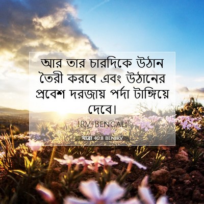 Picture 07 - যাত্ৰা 40:8 BENIRV - আর তার চারদিকে - Bible Verse Picture
