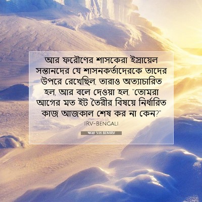 Picture 07 - যাত্ৰা 5:14 BENIRV - আর ফরৌণের শাসকেরা - Bible Verse Picture