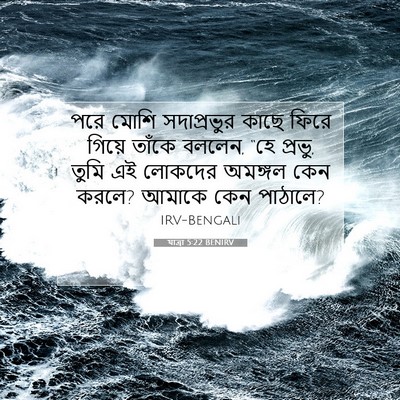 Picture 07 - যাত্ৰা 5:22 BENIRV - পরে মোশি - Bible Verse Picture