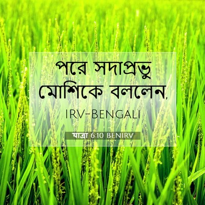 Picture 07 - যাত্ৰা 6:10 BENIRV - পরে সদাপ্রভু - Bible Verse Picture