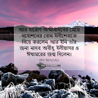Picture 07 - যাত্ৰা 6:23 BENIRV - আর হারোণ - Bible Verse Picture