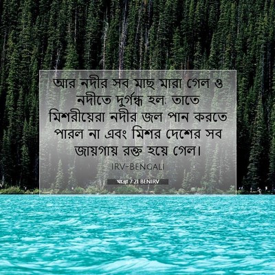 Picture 07 - যাত্ৰা 7:21 BENIRV - আর নদীর সব মাছ মারা - Bible Verse Picture
