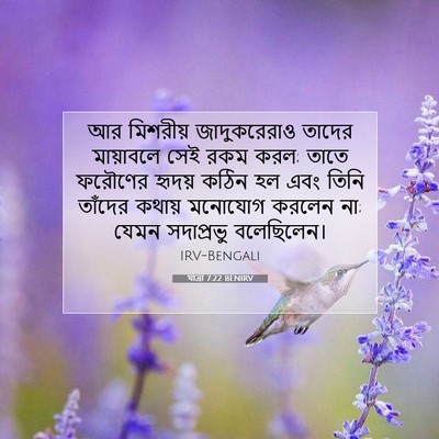 Picture 07 - যাত্ৰা 7:22 BENIRV - আর মিশরীয় - Bible Verse Picture