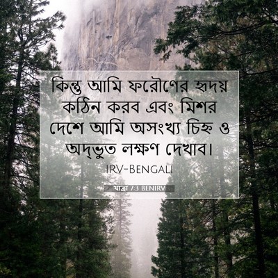 Picture 07 - যাত্ৰা 7:3 BENIRV - কিন্তু আমি ফরৌণের - Bible Verse Picture