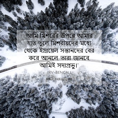 Picture 07 - যাত্ৰা 7:5 BENIRV - আমি মিশরের উপরে - Bible Verse Picture